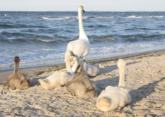 In Mit Garten アパート *